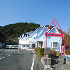 静岡県自動車学校 松崎校［伊豆地区］