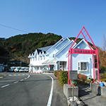 伊豆地区